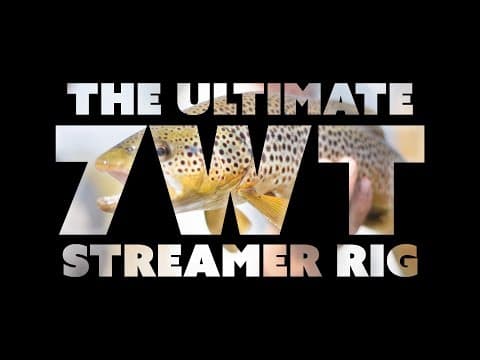 The Ultimate 7wt Fly Fishing Streamer Rig