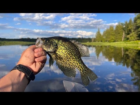 Multi-Species KAYAK Fishing On The CLYDE RIVER - Crappie, Northern Pike, Walleye & Rock Bass!!