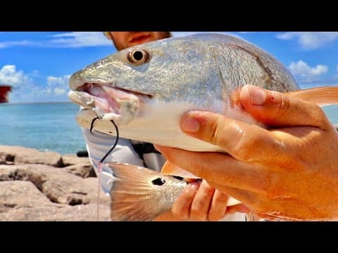 3 Of The Best Style Hooks for Surf and Jetty Fishing