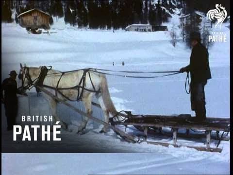 Ice Man (1955)