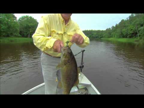 In-Line Spinners For Smallmouth Bass