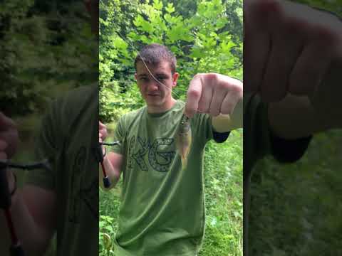 WORLD RECORD FASTEST FISH CATCH!!! (0.12 seconds)
