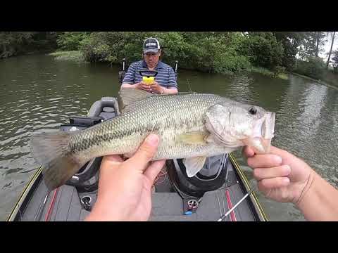 Practice fishing Lay Lake Alabama