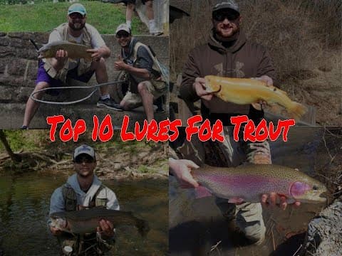 Top 10 Baits and Lures for First Day of Trout Pennsylvania