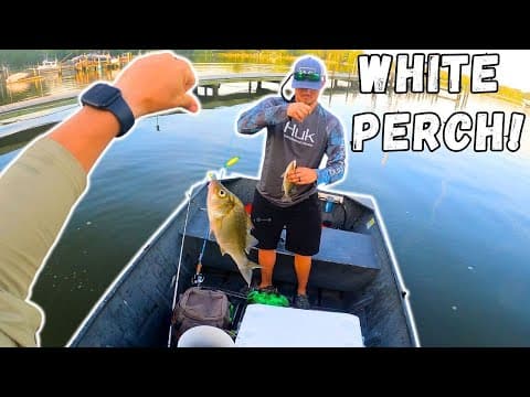 Catching The BEST Tasting FISH In The Chesapeake Bay! White Perch Catch Clean Cook!