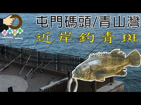 #40 香港釣魚 : 岸釣 養魚場