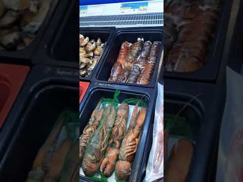 Fish Market Ancona, Italy