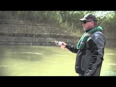 P-LINE Laser Minnow & Pro-Cure on AWTV