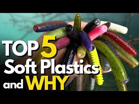 Top 5 Soft Plastic Lures Every Angler Should Own - And WHY