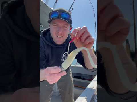 Catching Huge Lingcod!
