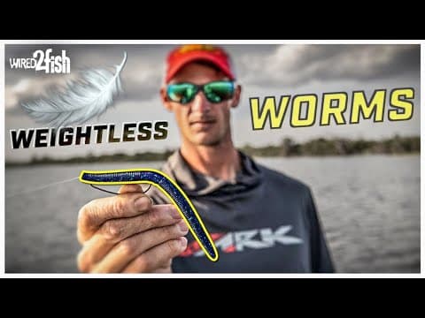 6 Weightless Worm Tips for More Shallow Bass