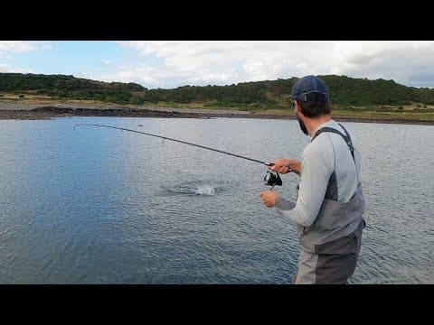 Lure Fishing for Bass | Top Water Bass | UK Bass Fishing