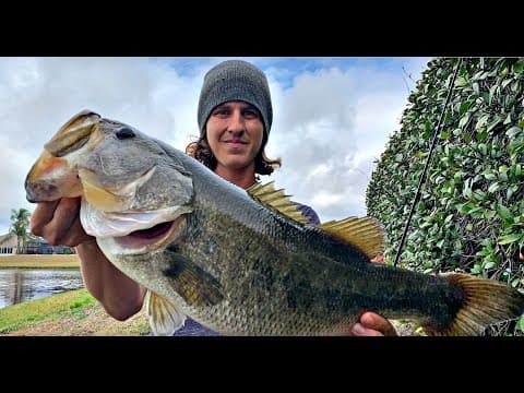 How to Fish Florida Ponds for Bass (What to look for)