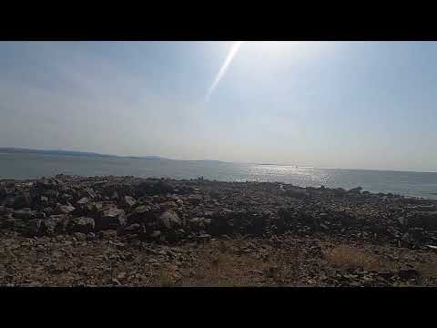 WILLAPA BAY 1