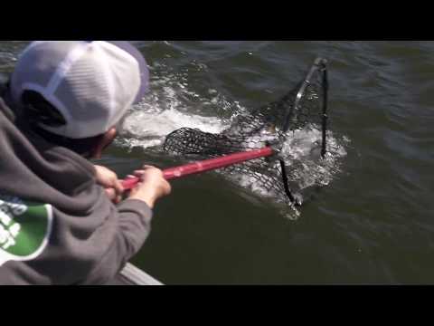Casting Into Fast Water for Brook Trout