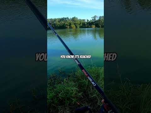 How to Fish a Texas Rig Pt. 1