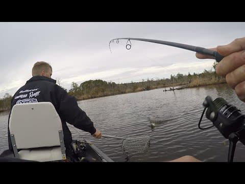 Late Winter/Early Spring Red fish Loved this Z-Man Bait!!!