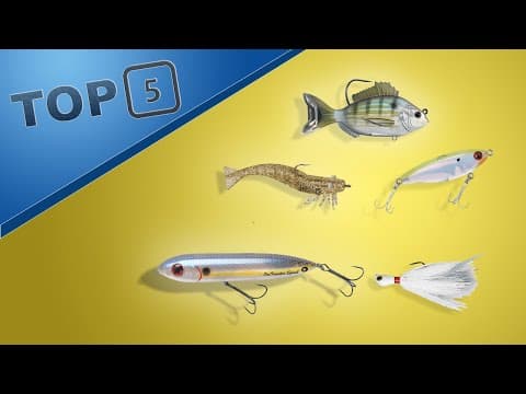 Best LURES for INSHORE FISHING in FLORIDA | (Top 5)