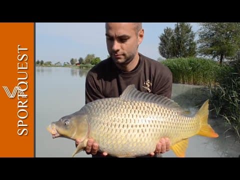 Carp Fishing and a tour of Island Lake, Hungary 🐟