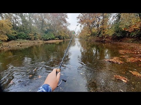 I CAN&#39;T BELIEVE HOW MANY SPECIES LIVE IN THIS RIVER (Big City Trout Fishing)