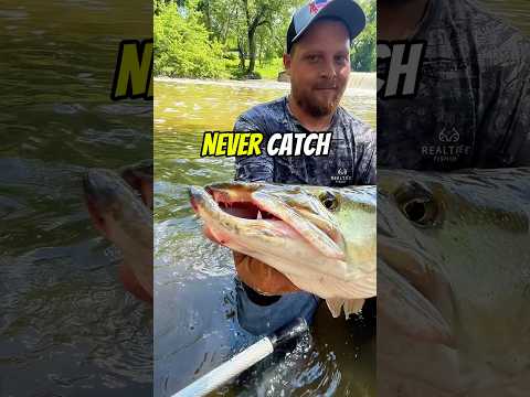 the SECRET to catching GIANT MUSKY!!! 😱😱😱 #fishing #shorts #outdoors
