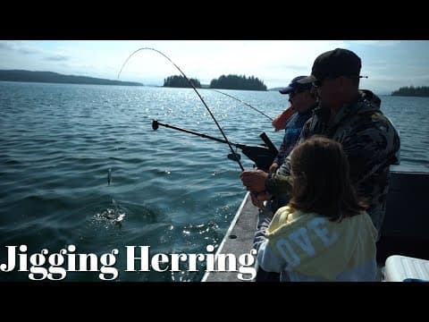 How To Properly Jig For Herring