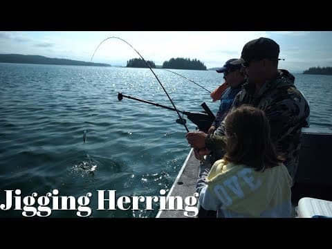 How To Properly Jig For Herring