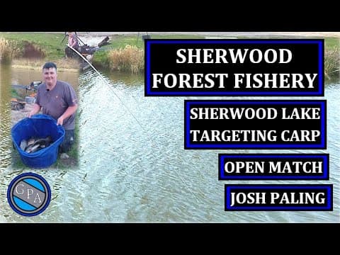 Sherwood Forest Fishery - Sherwood Lake - Open Match ft Josh Paling.