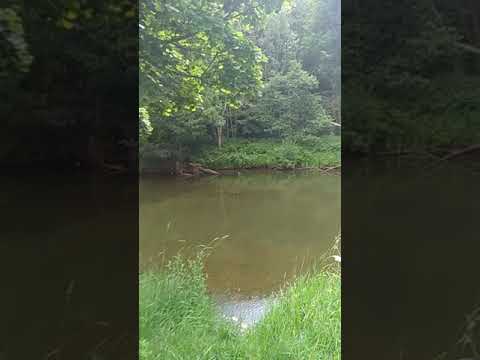 River Coquet 1