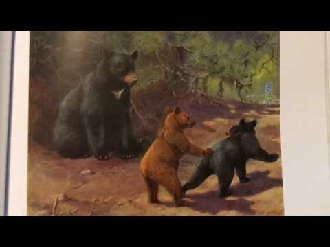 Fur Bearing Mammals of California (1937)