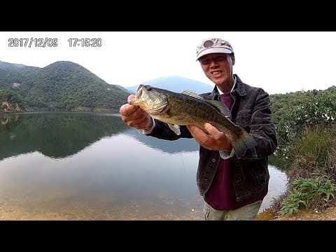Tai Tam Bass Fishing 2017.12.09