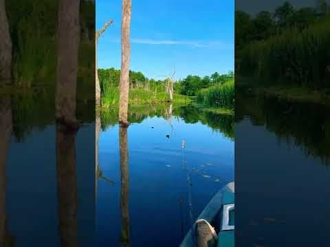 Cedar creek Kentucky A Bass paradise!😲😲👍😊