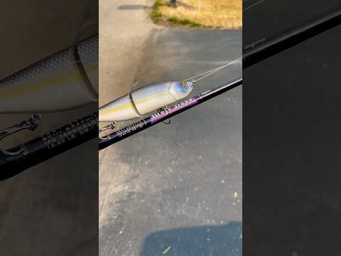 The BEST Bass Fishing Rod For ALL TECHNIQUES!