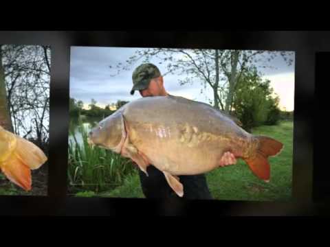 French carp fishing @ Etang La Saussaie.