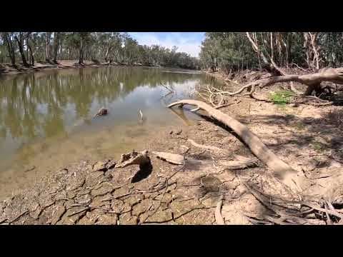 Fishing the Murray River "Secret Spot"