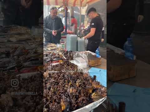 📍Catania Seafood Market, Sicily 🇮🇹 #italy #sicily #catania