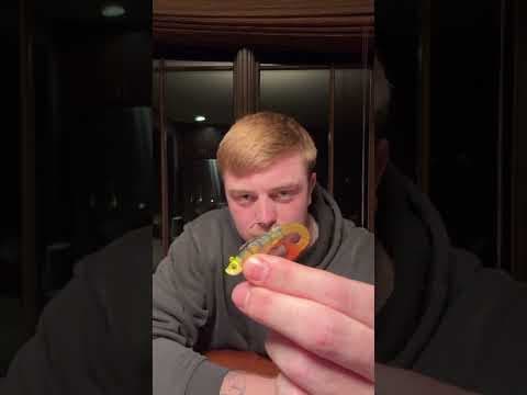 Here are my top 5 walleye lures #fisherman #bassfishinglife #fishing #walleyefishing #fish