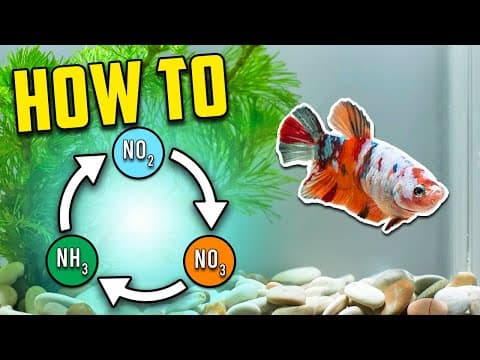 Best Nitrogen Cycle Guide for Beginners (Different Methods Explained)