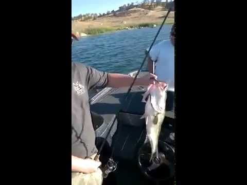 Bass Fishing Eastman Lake California 8lb Bass