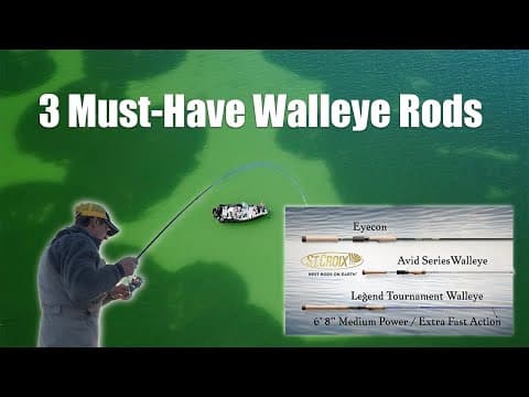 3 Must-Have Walleye Rods (Jig Fishing)!