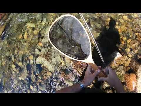South Fork of the Snoqualmie Testing GoPro