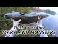 Northern SNAKEHEAD: How to Fish Thick Grass for Maryland MONSTERS; Snakehead Fishing Tips, Gear