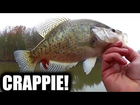 Winter Crappie and Bluegill Fishing From Shore - Winter Bank Fishing!