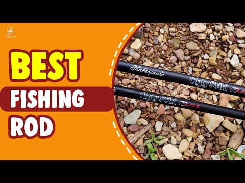 Best Fishing Rod In 2021 – A Guide to Choose Your Fishing Rods