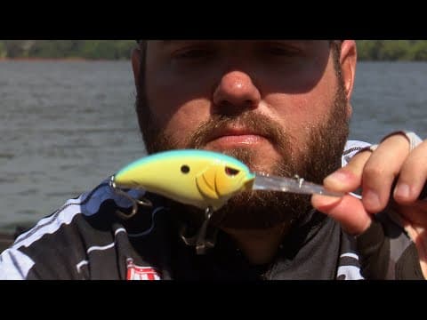 Top 5 Baits for July Bass Fishing | Bass Fishing