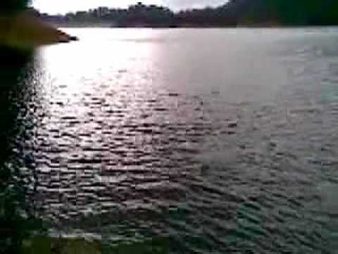 Shing Mun fishing 20100211_WMV V9.wmv