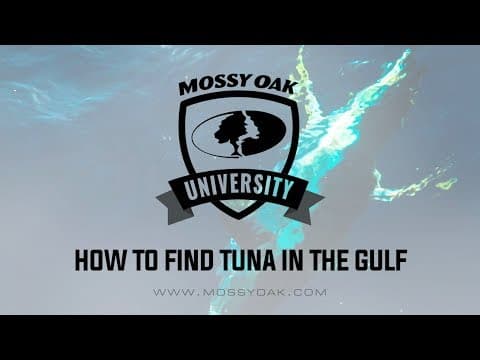 How to Find Tuna in the Gulf of Mexico