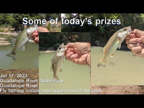 Guadalupe State Park River fly fishing upstream 2023 07 17