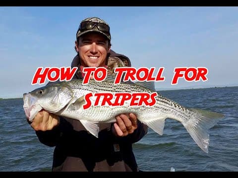 How To Troll For Stripers No 85