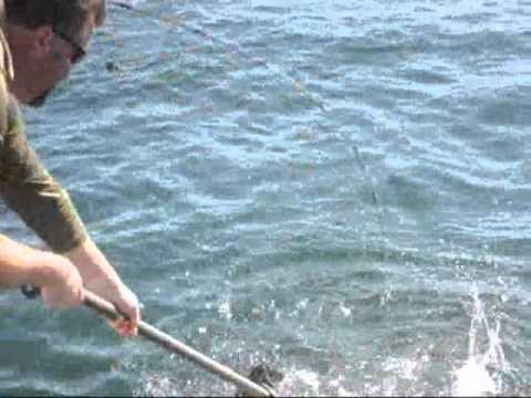 Great Fishing ....Fishing For King Salmon In Kodiac Alaska